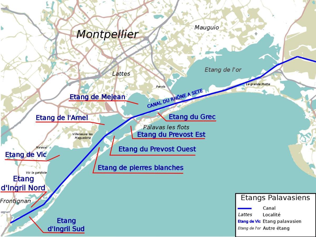 Apartment Appt T2, Piscine, La A 130m! Parking Prive Clos, Lave-linge, Lave-vaisselle, Draps, Linge Et Menage Inclus!